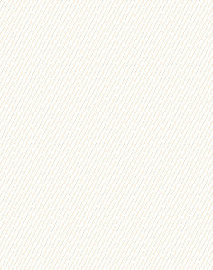 a|s cardstock - petite pinstripe orange