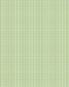 a|s cardstock - gingham grass